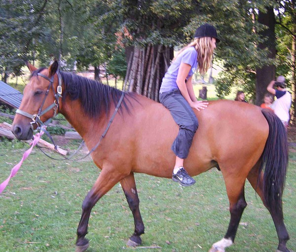Léto 2009